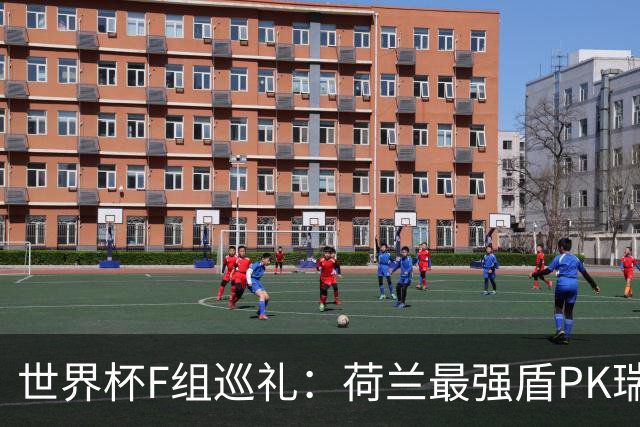 世界杯F组巡礼：荷兰最强盾PK瑞典犀利刀 日本短板明显