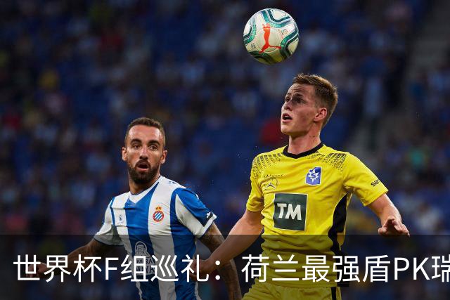 世界杯F组巡礼：荷兰最强盾PK瑞典犀利刀 日本短板明显